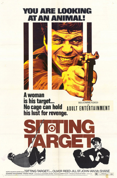 Movies Sitting Target poster