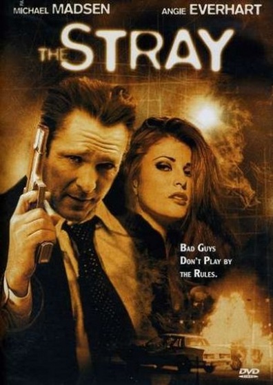 Movies The Stray poster