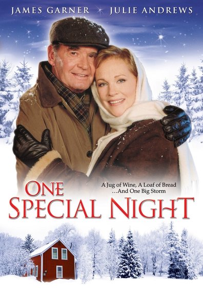 Movies One special night poster