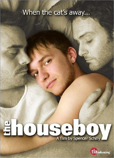Movies The Houseboy poster