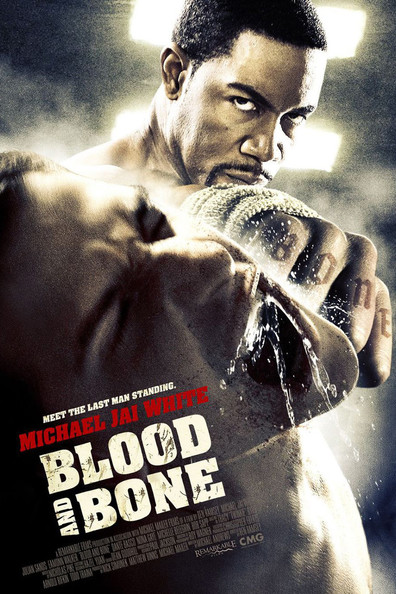 Movies Blood and Bone poster