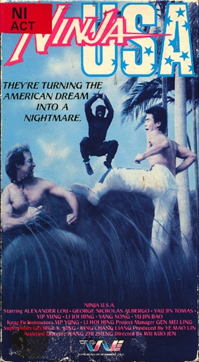 Movies USA Ninja poster