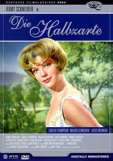 Movies Die Halbzarte poster