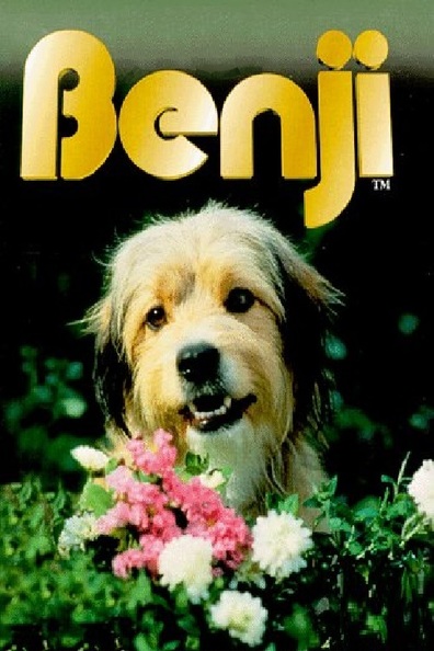 Movies Benji poster