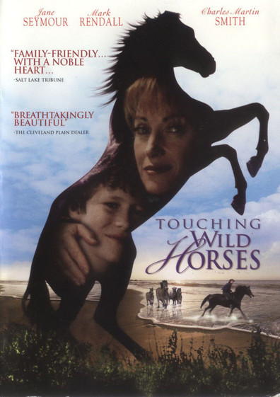 Movies Touching Wild Horses poster