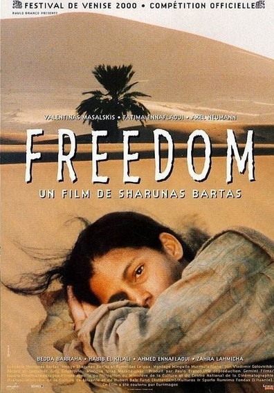 Movies Freedom poster