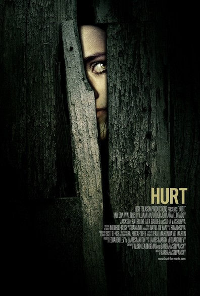 Movies Hurt poster