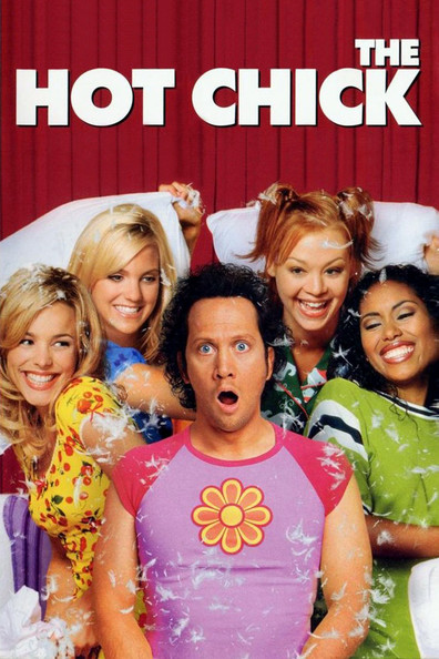 Movies The Hot Chick poster