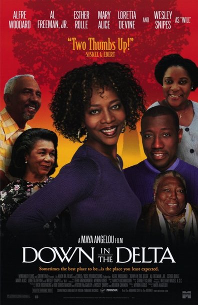 Movies Down in the Delta poster