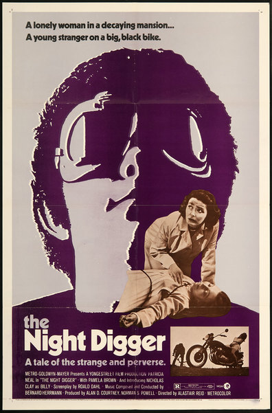 Movies The Night Digger poster