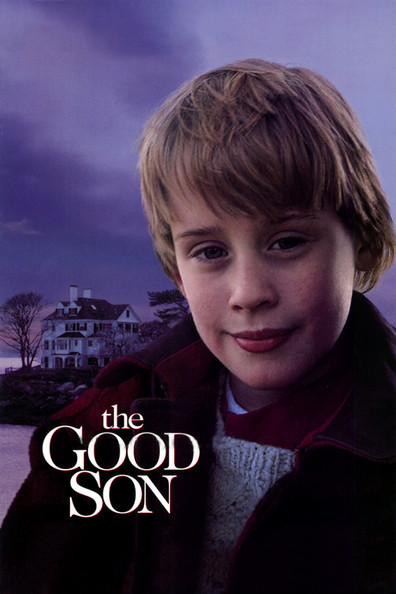 Movies The Good Son poster