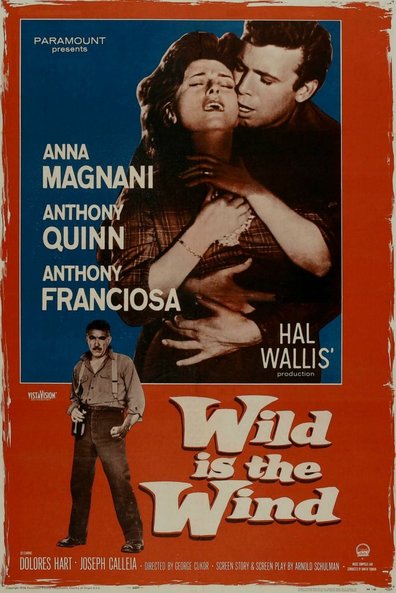 Movies Wild Is the Wind poster