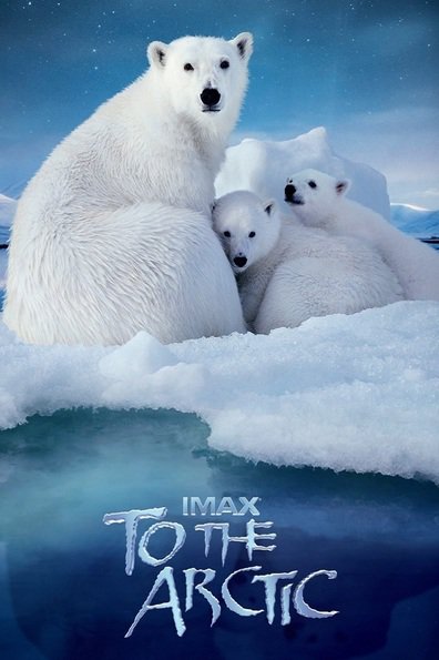 Movies To the Arctic 3D poster