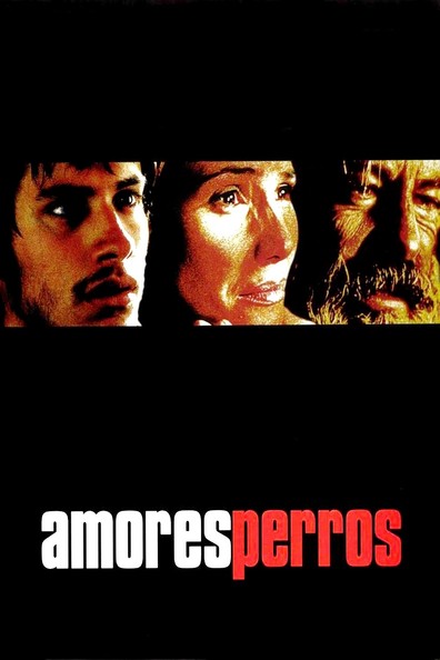 Movies Amores perros poster