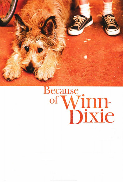 Movies Because of Winn-Dixie poster
