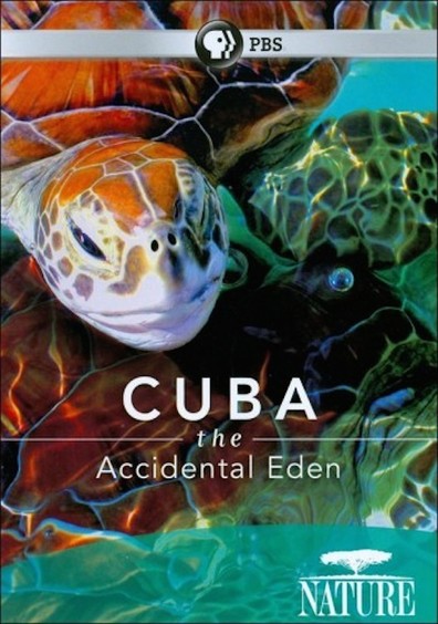 Movies Cuba. The Accidental Eden poster