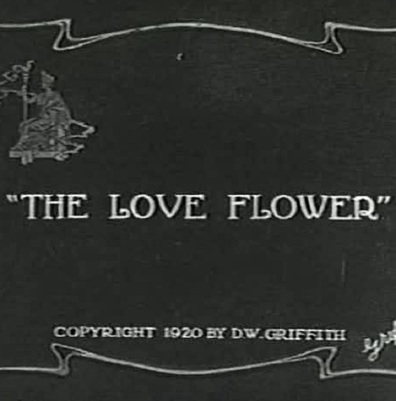 Movies The Love Flower poster