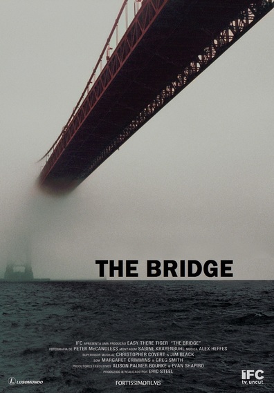 Movies The Bridge poster