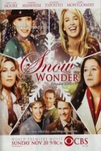 Movies Snow Wonder poster
