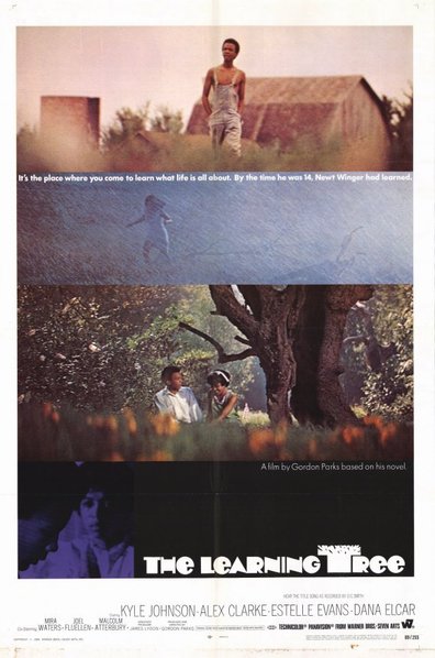Movies The Learning Tree poster