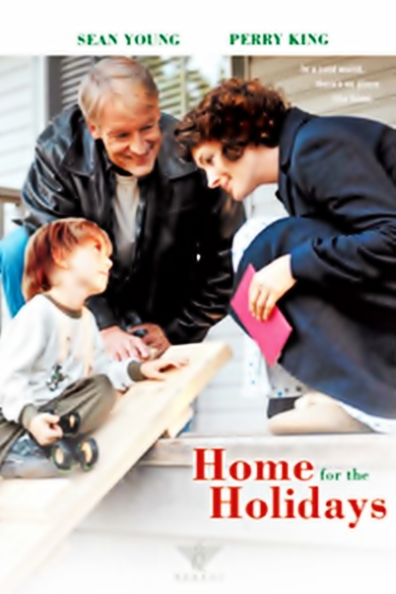 Movies Home for the Holidays poster