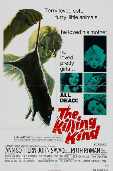 Movies The Killing Kind poster