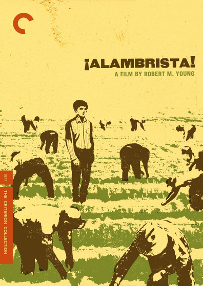 Movies Alambrista! poster