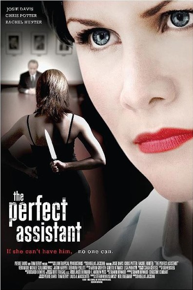 Movies The Perfect Assistant poster