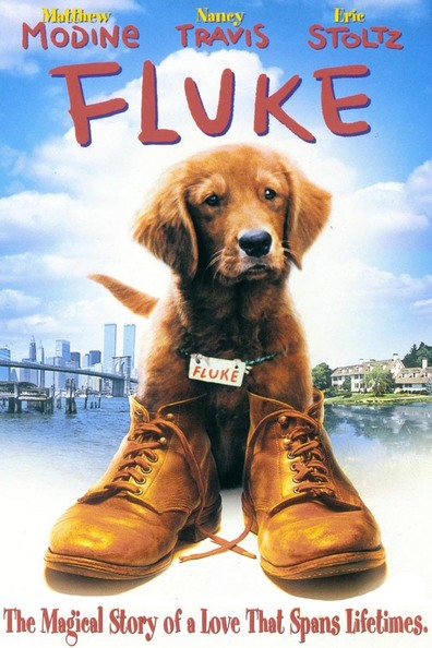Movies Fluke poster