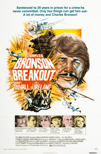 Movies Breakout poster