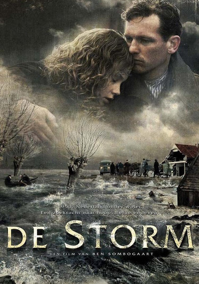 Movies De storm poster