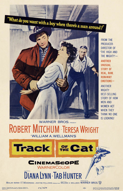 Movies Track of the Cat poster