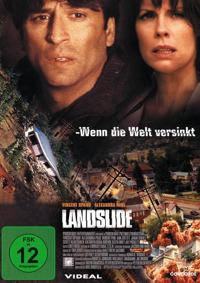 Movies Landslide poster