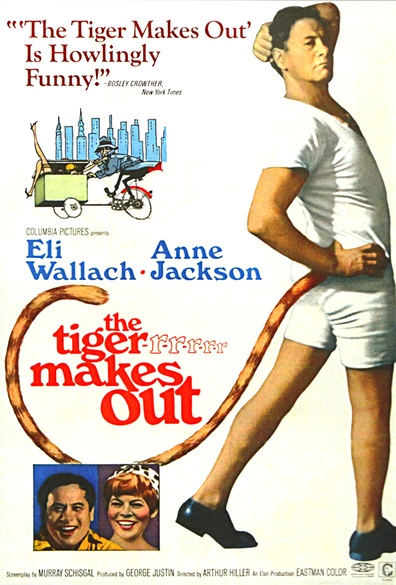 Movies The Tiger Makes Out poster