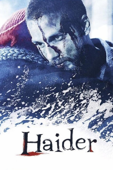 Movies Haider poster