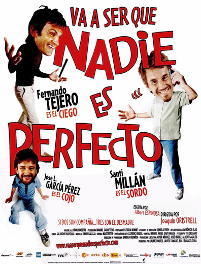 Movies Va a ser que nadie es perfecto poster
