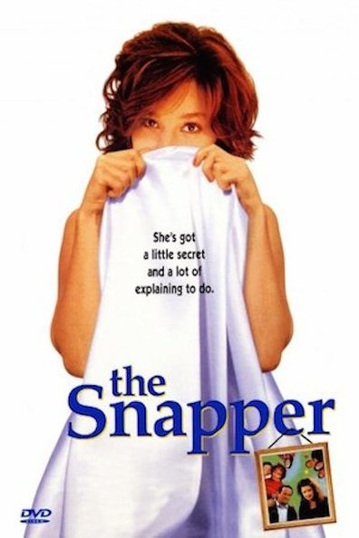 Movies The Snapper poster