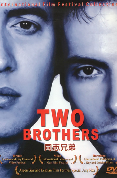 Movies Two Brothers poster