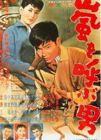 Movies Arashi o yobu otoko poster