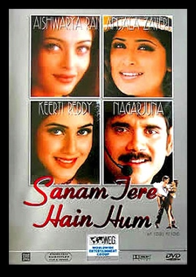 Movies Sanam Tere Hain Hum poster