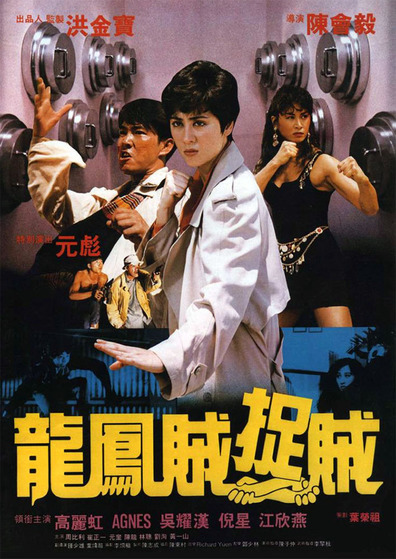 Movies Long feng zei zhuo zei poster