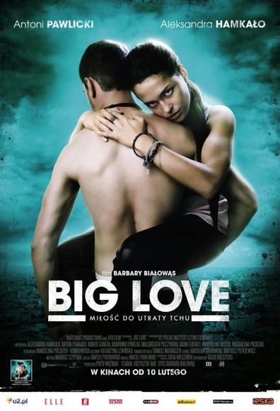 Movies Big Love poster