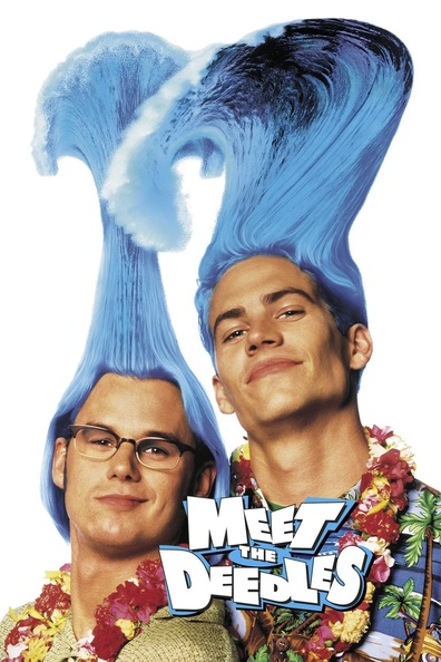 Movies Meet the Deedles poster