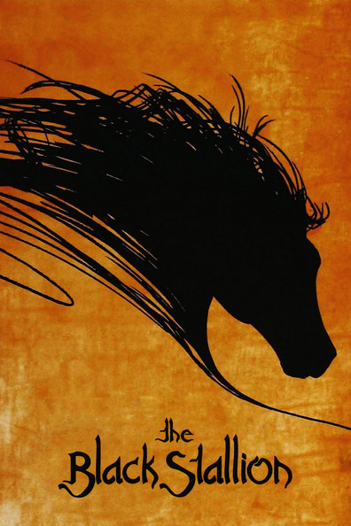 Movies The Black Stallion poster