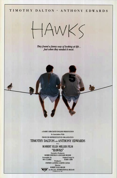 Movies Hawks poster