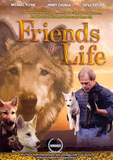 Movies Friends for Life poster