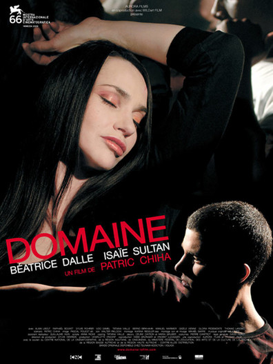 Movies Domaine poster
