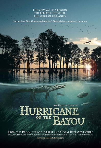 Movies Hurricane on the Bayou poster