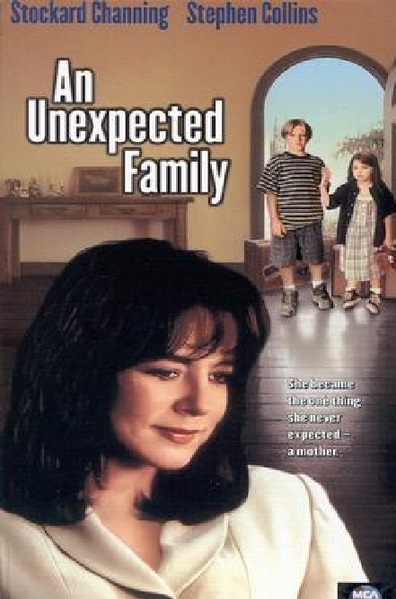 Movies An Unexpected Family poster