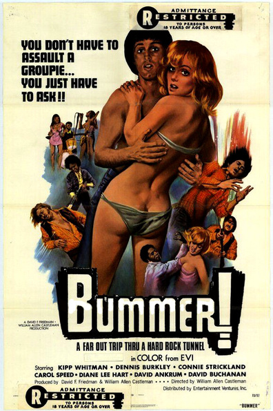 Movies Bummer poster